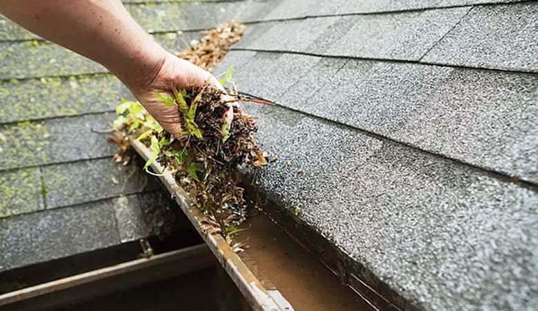 Gutter cleaning services in Victoria