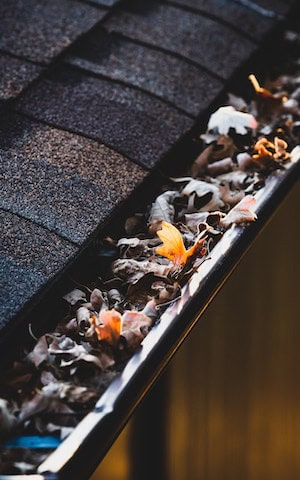 Gutter cleaning services in Victoria