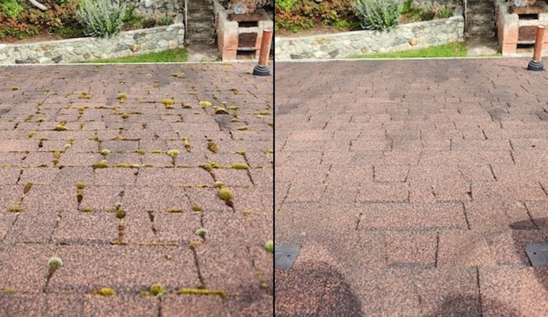 Moss Removal and Soft Wash Services